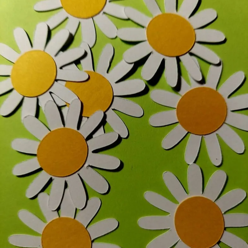 Daisy's for Scrapbooking or Card Making (20) Confetti for table decoration