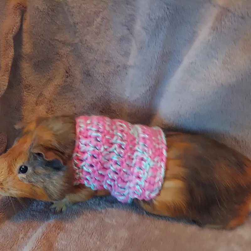 Crochet Guinea Pig Sweater Vest or Small Pet Clothing