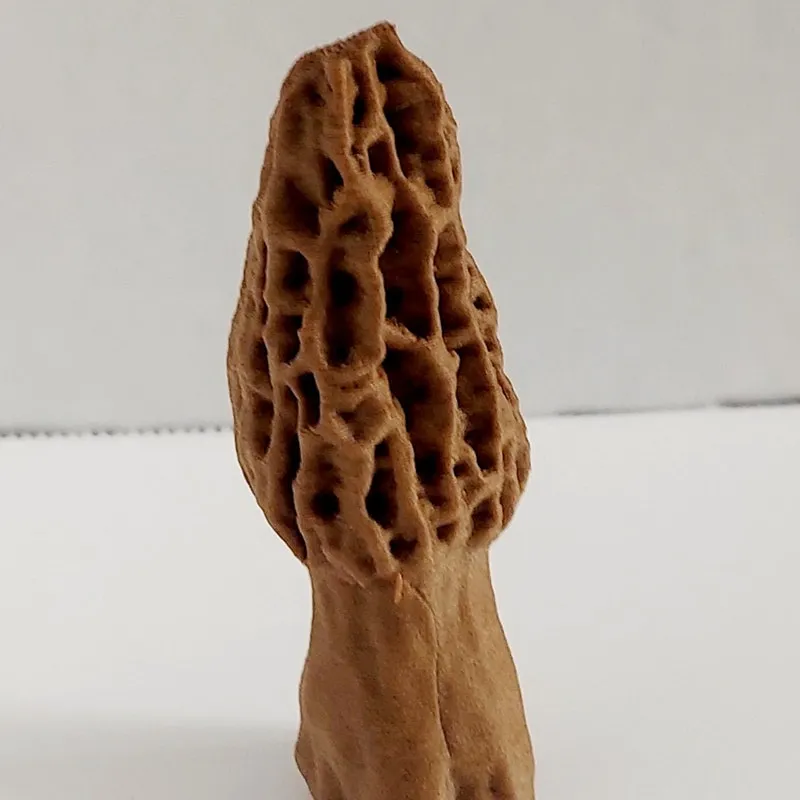 Morel Mushroom Figurine: 3D printed in Walnut, Forest Themed Gift for Dad