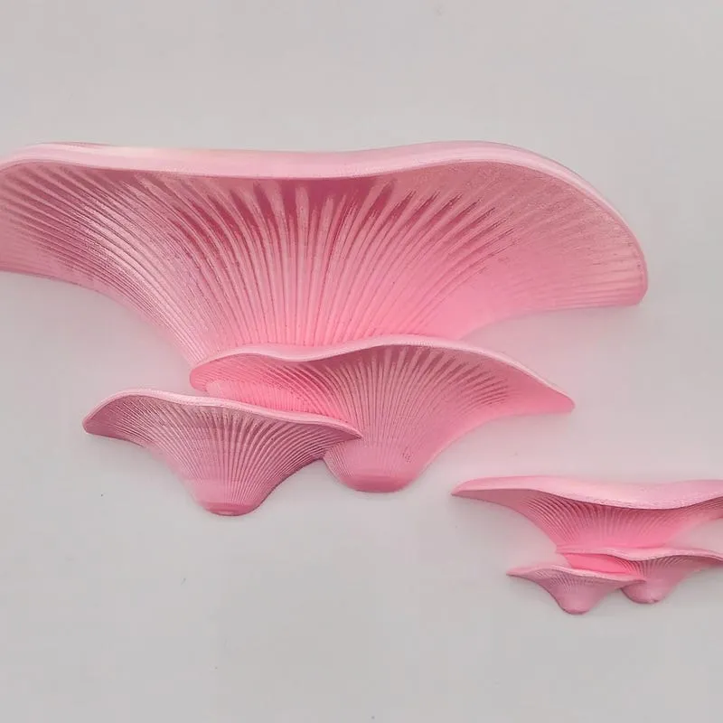 Large Mushroom Shelf:  Cottagecore Wall Decor, Woodland Charm, 8" Ledge - 3D printed Oyster Mushroom Shelf