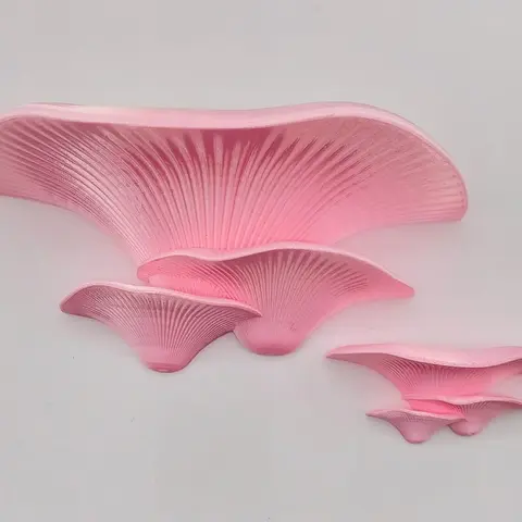 Large Mushroom Shelf:  Cottagecore Wall Decor, Woodland Charm, 8" Ledge - 3D printed Oyster Mushroom Shelf