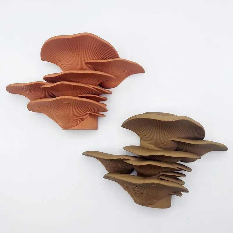 3D Printed Mushroom Flush Floating Shelf: Cluster Oyster Mushroom Wall Decor for your home