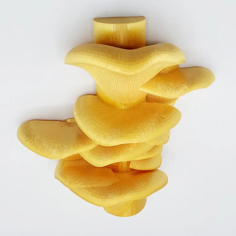 3D Printed Mushroom Shelf: Cottagecore Home Decor