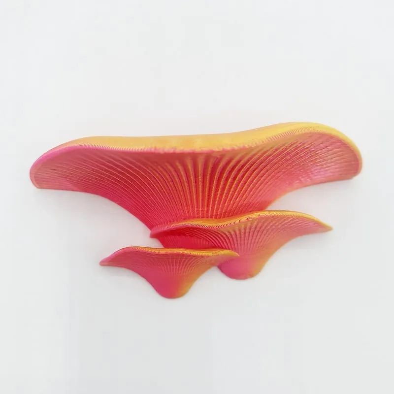 3D Printed Mushroom Wall Shelves (3) - Woodland-Inspired Fairycore, a place for small trinkets